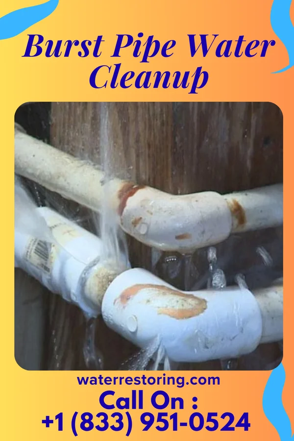 Burst Pipe Water Cleanup in Garfield, NJ